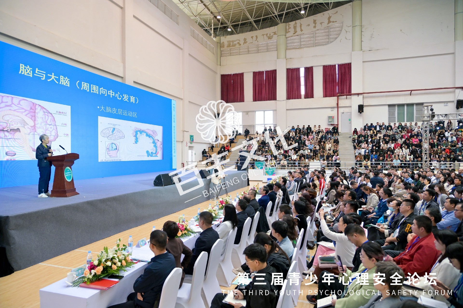 微信图片_20241030100253.jpg