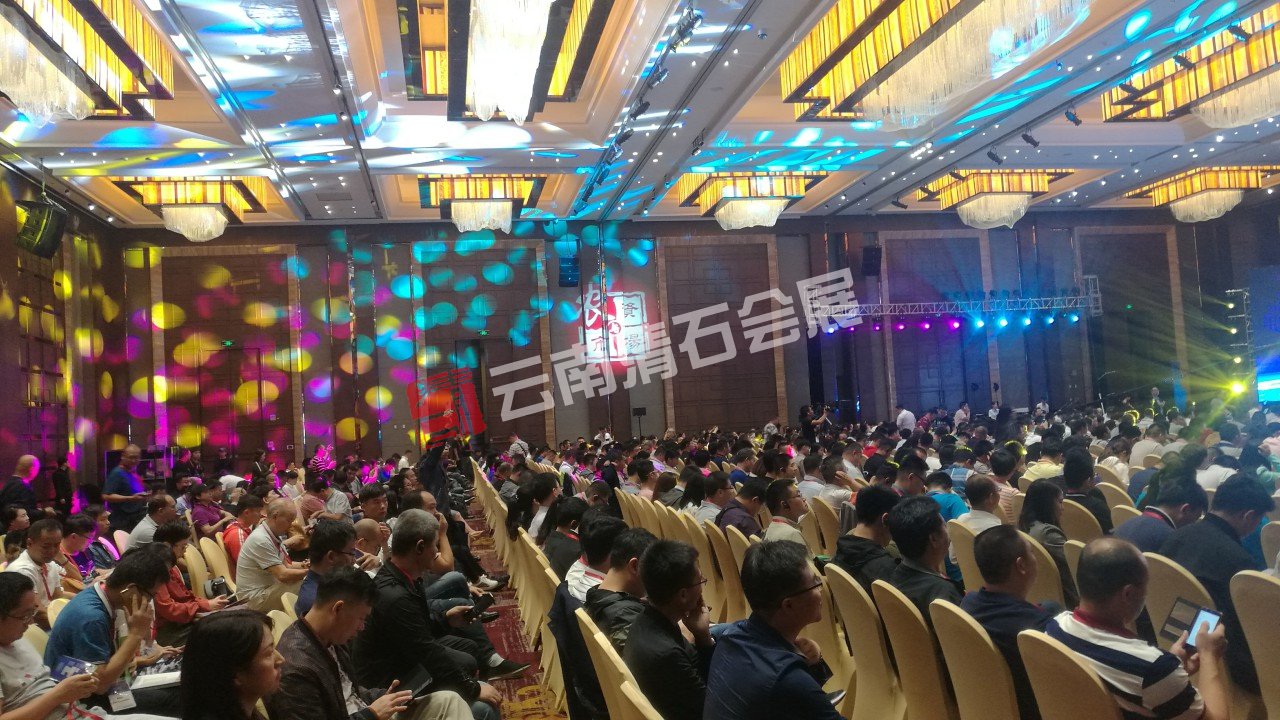 2018国际特种肥料大会-内场布置：灯光音响LED大屏二